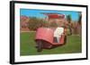 Salmon Golf Cart, Retro-null-Framed Art Print