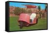 Salmon Golf Cart, Retro-null-Framed Stretched Canvas