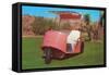 Salmon Golf Cart, Retro-null-Framed Stretched Canvas