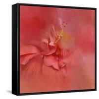 Salmon Hibiscus 2-Jai Johnson-Framed Stretched Canvas