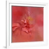 Salmon Hibiscus 2-Jai Johnson-Framed Giclee Print