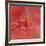 Salmon Hibiscus 2-Jai Johnson-Framed Giclee Print