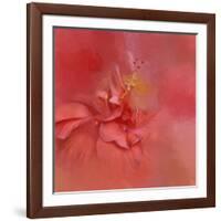 Salmon Hibiscus 2-Jai Johnson-Framed Giclee Print