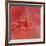 Salmon Hibiscus 2-Jai Johnson-Framed Giclee Print