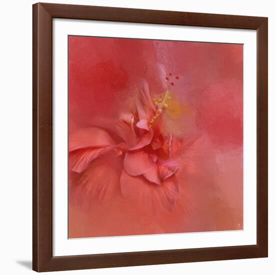 Salmon Hibiscus 2-Jai Johnson-Framed Giclee Print