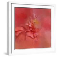 Salmon Hibiscus 2-Jai Johnson-Framed Giclee Print