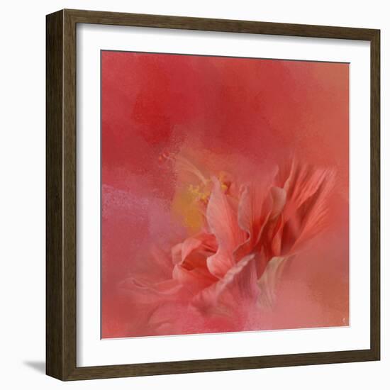 Salmon Hibiscus 3-Jai Johnson-Framed Giclee Print