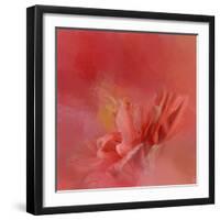 Salmon Hibiscus 3-Jai Johnson-Framed Giclee Print