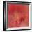 Salmon Hibiscus 3-Jai Johnson-Framed Giclee Print