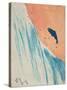 Salmon Leap-George Adamson-Stretched Canvas