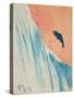 Salmon Leap-George Adamson-Stretched Canvas