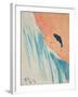 Salmon Leap-George Adamson-Framed Giclee Print