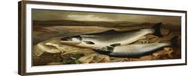 Salmon on a River Bank-John Russell-Framed Premium Giclee Print