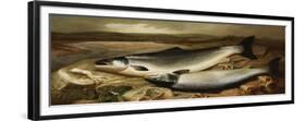 Salmon on a River Bank-John Russell-Framed Giclee Print