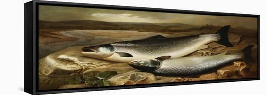 Salmon on a River Bank-John Russell-Framed Stretched Canvas