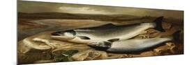 Salmon on a River Bank-John Russell-Mounted Giclee Print