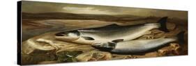 Salmon on a River Bank-John Russell-Stretched Canvas