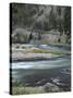 Salmon River, Idaho, USA-Gerry Reynolds-Stretched Canvas