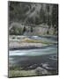 Salmon River, Idaho, USA-Gerry Reynolds-Mounted Photographic Print