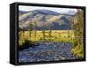 Salmon River near Stanley, Idaho, USA-Chuck Haney-Framed Stretched Canvas