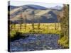 Salmon River near Stanley, Idaho, USA-Chuck Haney-Stretched Canvas