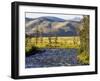 Salmon River near Stanley, Idaho, USA-Chuck Haney-Framed Photographic Print
