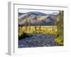 Salmon River near Stanley, Idaho, USA-Chuck Haney-Framed Photographic Print