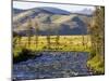 Salmon River near Stanley, Idaho, USA-Chuck Haney-Mounted Photographic Print