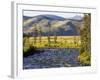 Salmon River near Stanley, Idaho, USA-Chuck Haney-Framed Photographic Print