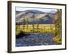 Salmon River near Stanley, Idaho, USA-Chuck Haney-Framed Photographic Print