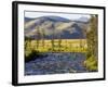 Salmon River near Stanley, Idaho, USA-Chuck Haney-Framed Photographic Print