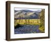 Salmon River near Stanley, Idaho, USA-Chuck Haney-Framed Photographic Print