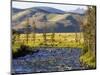 Salmon River near Stanley, Idaho, USA-Chuck Haney-Mounted Photographic Print