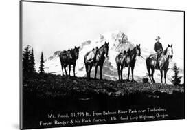 Salmon River Park, Oregon - Man with Horses, Mt Hood in Distance-Lantern Press-Mounted Art Print