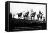 Salmon River Park, Oregon - Man with Horses, Mt Hood in Distance-Lantern Press-Framed Stretched Canvas
