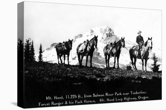 Salmon River Park, Oregon - Man with Horses, Mt Hood in Distance-Lantern Press-Stretched Canvas