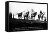 Salmon River Park, Oregon - Man with Horses, Mt Hood in Distance-Lantern Press-Framed Stretched Canvas