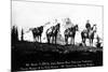 Salmon River Park, Oregon - Man with Horses, Mt Hood in Distance-Lantern Press-Mounted Art Print