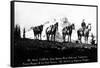 Salmon River Park, Oregon - Man with Horses, Mt Hood in Distance-Lantern Press-Framed Stretched Canvas