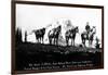 Salmon River Park, Oregon - Man with Horses, Mt Hood in Distance-Lantern Press-Framed Art Print