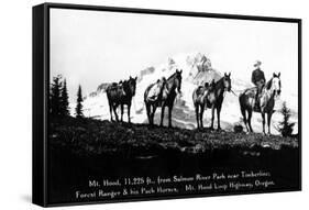 Salmon River Park, Oregon - Man with Horses, Mt Hood in Distance-Lantern Press-Framed Stretched Canvas