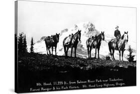 Salmon River Park, Oregon - Man with Horses, Mt Hood in Distance-Lantern Press-Stretched Canvas