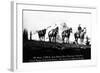 Salmon River Park, Oregon - Man with Horses, Mt Hood in Distance-Lantern Press-Framed Art Print