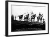 Salmon River Park, Oregon - Man with Horses, Mt Hood in Distance-Lantern Press-Framed Art Print