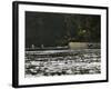 Salmon River-Heather Ainsworth-Framed Photographic Print