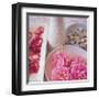 Salmon Rose I-Bill Philip-Framed Art Print