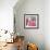 Salmon Rose I-Bill Philip-Framed Art Print displayed on a wall