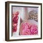 Salmon Rose I-Bill Philip-Framed Art Print