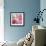 Salmon Rose II-Bill Philip-Framed Art Print displayed on a wall