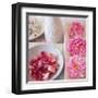 Salmon Rose II-Bill Philip-Framed Art Print